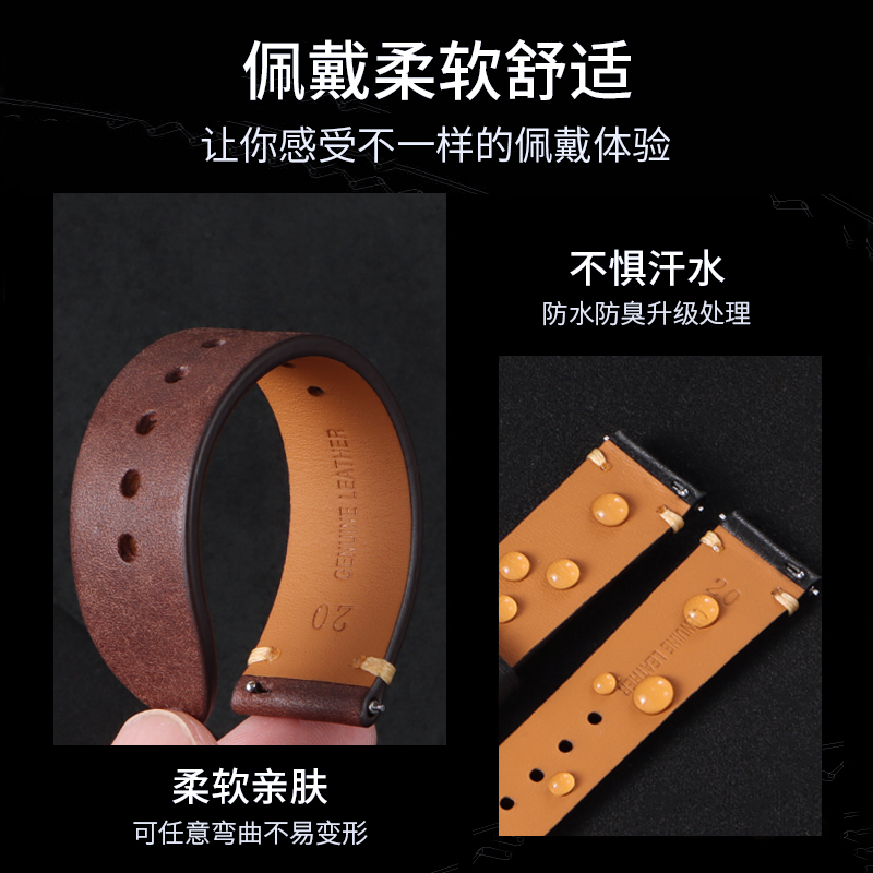 Citizen Echtleder-Uhrenarmband – Citizen Watch Promaster Bewertung und Preis